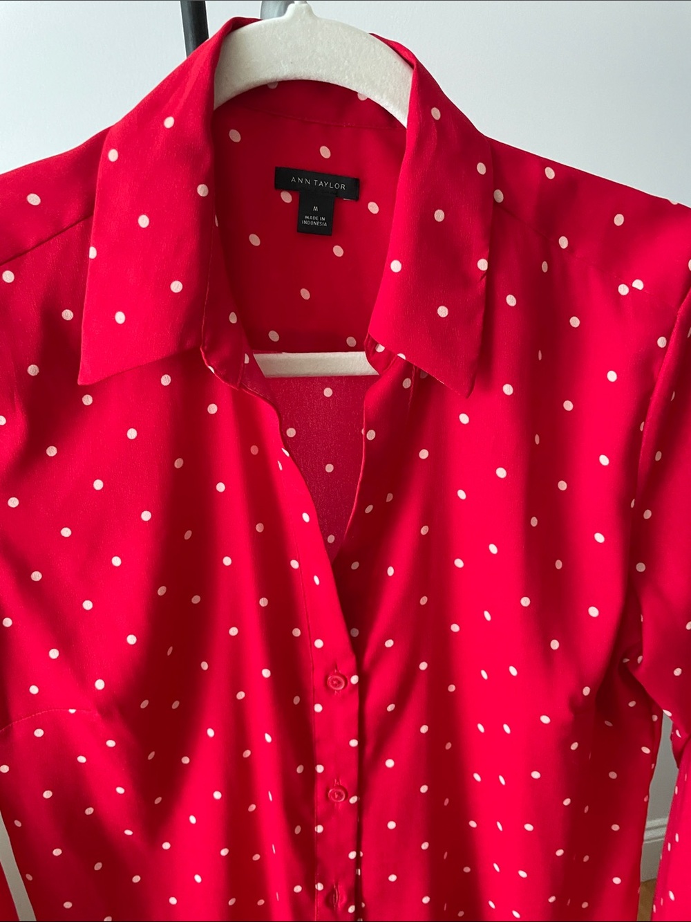 Ann Taylor Red and White Polka Dot Blouse - Picture 2 of 5